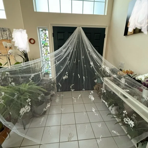 BHLDN Theia Jasper Embroidered Cathedral Veil - Picture 2 of 9